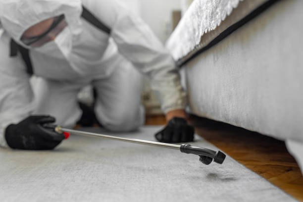 Professional Cockroach Control technician working in Galesburg, IL