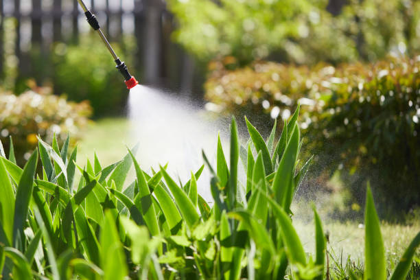 24/7 Emergency Cockroach Control experts in Galesburg, IL