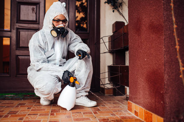 Reliable Cockroach Control contractor in Galesburg, IL by Nex Pest Control